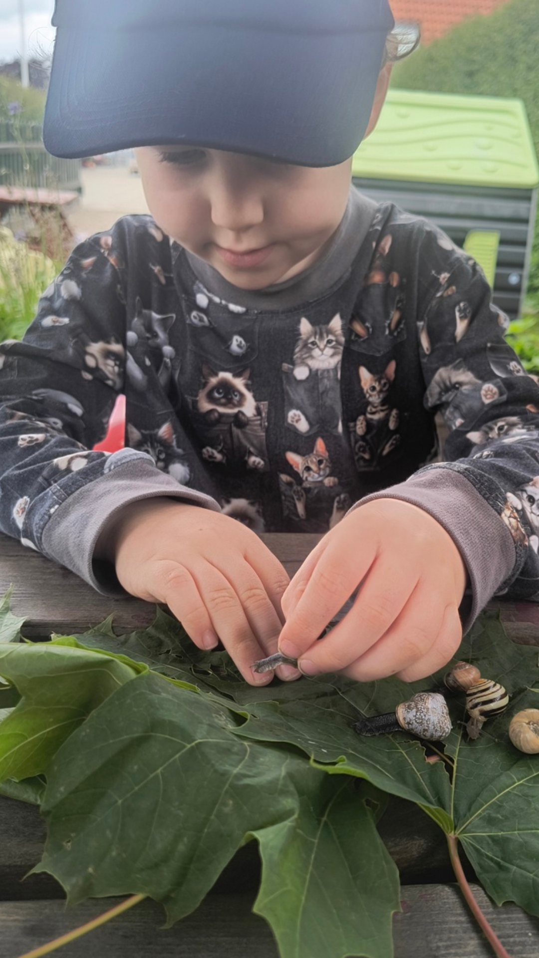 Billeder Gyrstinge (52)